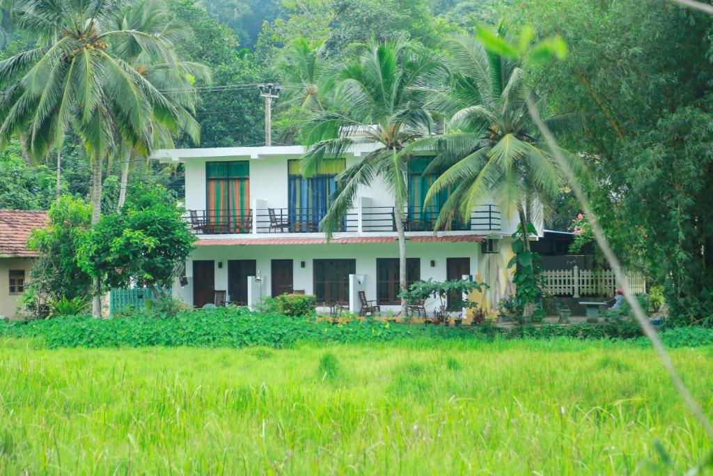 Paddy Field View Resort